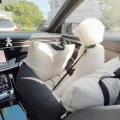 10thMoncarseatMilkyBlack11GIFopt.gif