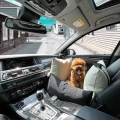 10th Moncarseat Milky Black08.jpg