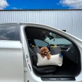 10th Moncarseat Banana Bus12.jpg