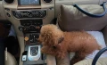 9th Mon-Carseat Rich Brown07.jpg
