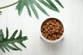 OreoTable2S_walnut_05.jpg