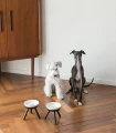 dogs2.jpg