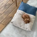 The Standard Cushion Ash Blue07.jpg