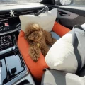 10th Moncarseat Onrage Soda08_gif_res.gif